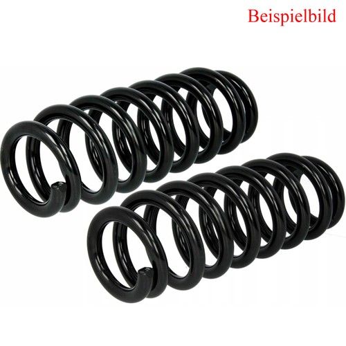 Nty fahrwerksfeder hinten - 2x,